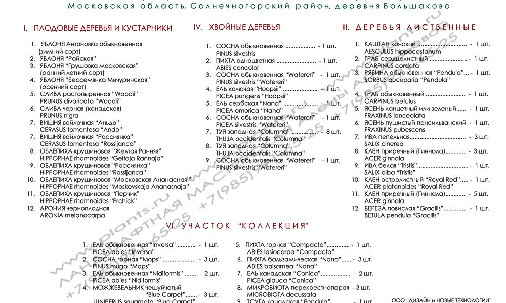 Ландшафтный проект дачного участка - ассортиментная ведомость к дендроплану